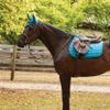 Collegiate Anatomic Girth, Brown, 42" view 3