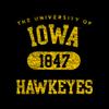 UGP Campus Apparel - AH20 - Iowa Hawkeyes Athletic Arch Hoodie - Large - Black view 4