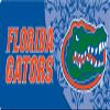 Florida Gators Decor Bumper Sticker Officially Licensed Collegiate Product view 1