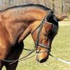 Dover Saddlery Neck-Stretcher - Brown, Pony Size view 2