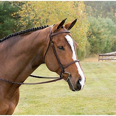 Suffolk Dover Saddlery Single Crown Hunter Bridle - Brown, Horse-F/S