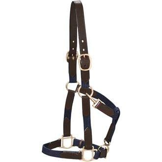 Dover Saddlery Everyday Web Halter - Dark Green, Horse-F/S