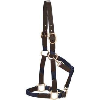 Dover Saddlery Everyday Web Halter - Dark Green, Horse-F/S