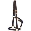 Dover Saddlery Everyday Web Halter - Dark Green, Horse-F/S view 1