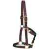 Dover Saddlery Everyday Web Halter - Dark Green, Horse-F/S view 2