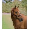 Circuit Dover Saddlery Classic Fancy-Stitched Leather Halter - Chocolate/Chocolate, Horse-F/S view 2