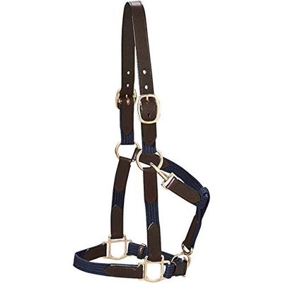 Dover Saddlery Web Halter, Oversize-O/S, Navy