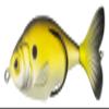 Lunkerhunt Prop Series Prop Series-Shad Propfish-Golden Shiner 3.5", 1/2 oz view 2