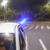 SAMDO 11.0 inch Magnet Wand Baton Traffic Control Road Safety Lamp Military Survival LED Light Stick (Blue) view 2