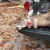 FPS Baits & Lures 100% Fresh Whitetail Buck in RUT Urine 4 oz. Hunting view 2