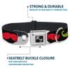 Dog Collar Seatbelt Buckle Mustaches 4 Black Multi Color 18 to 32 Inches 1.5 Inch Wide view 4