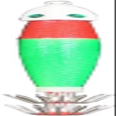 Marushin Fishing Gear, Lead Squid CB No. 12, Red Green
