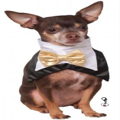 Bowtie Tuxedo Vest Bandana Scarf with Heart Charm in Dog Sizes S Thru XL (L/XL fits Neck 15-19")