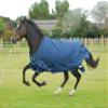 Rhinegold Arizona Outdoor Rug - Mid/Lightweight 100gsm Polyfill view 1