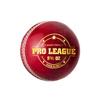 DSC Pro League Cricket Leather Ball (Red) view 1