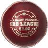 DSC Pro League Cricket Leather Ball (Red) view 2