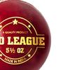 DSC Pro League Cricket Leather Ball (Red) view 4