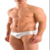 Gary Majdell Sport Mens New Hot Print Body Bikini Swimsuit (Medium, Silver Ice) view 3