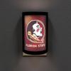 NCAA Florida State Seminoles College Football LED Night Light view 3