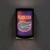NCAA Florida Gators College Football LED Night Light view 3
