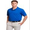 Russell Athletic Men's Dri-Power Performance Golf Polo Shirt, -royal, XXL view 2