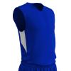 Champro Charge Polyester Basketball Jersey, Youth Medium, Royal, White view 1
