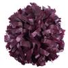ICObuty Plastic Cheerleader Cheerleading Pom Pom 6 inch 1 Pair (Maroon) view 1
