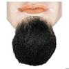 Lacey Wigs Beard 1 Pt Blend Lt C Bn Gy 38 view 1