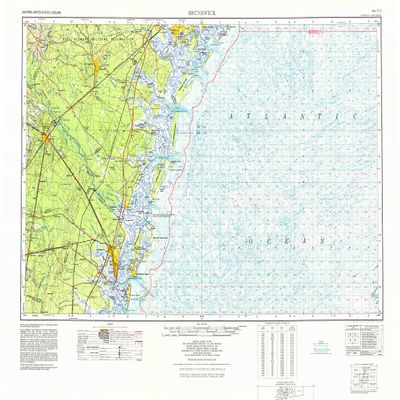 YellowMaps Brunswick GA topo map, 1:250000 Scale, 1 X 2 Degree, Historical, 1978, 24.1 x 34 in - Tyvek