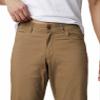 Columbia Mens Rapid Rivers Hiking Pant, Flax, 40 x 32 view 3