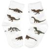 Country Kids Real Dinosaurs White Socks, Little Boys, Size 6-7 view 1