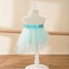 CHICTRY Girls Children Shiny Sparkle Ballet Skirted Dance Leotard Dress Fancy Party Costume Mint Green 3-4 view 4