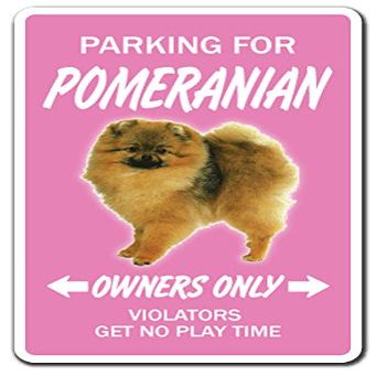 1080 Graphics Pomeranian Novelty Sign Dog Pet Parking Road Gift Toy Kennel Breeder Groomer Vet Sticker 8"x5"