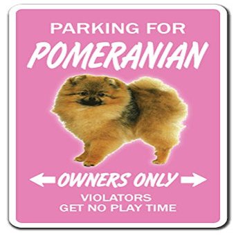 1080 Graphics Pomeranian Novelty Sign Dog Pet Parking Road Gift Toy Kennel Breeder Groomer Vet Sticker 8"x5"