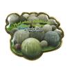 Collectible Novelty Pin for Backpack, Scarf - Made From Jeweler Class Metal - Spartan and the Green Egg Explorer Pin Series: Stone Spheres, Costa Rica (211) view 1
