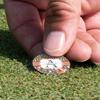 YouCustomizeIt Personalized Fox Trail Floral Golf Ball Marker - Hat Clip - Silver view 4