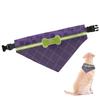 RNK Shops Personalized Pawprints & Bones Dog Bandana - XLarge view 1