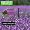 Collectible Novelty Pin for Backpack, Scarf - Made From Jeweler Class Metal - Spartan and the Green Egg Explorer Pin Series: Lavender Fields - Provence, France (305) view 4