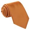 fortunatever Classical Men's Solid Necktie,Orange Ties For Men With Gift Box view 1