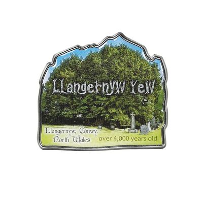 Collectible Novelty Pin for Backpack, Scarf - Made From Jeweler Class Metal - Spartan and the Green Egg Explorer Pin Series: Llangernyw Yew - Conwy, North Wales (288)