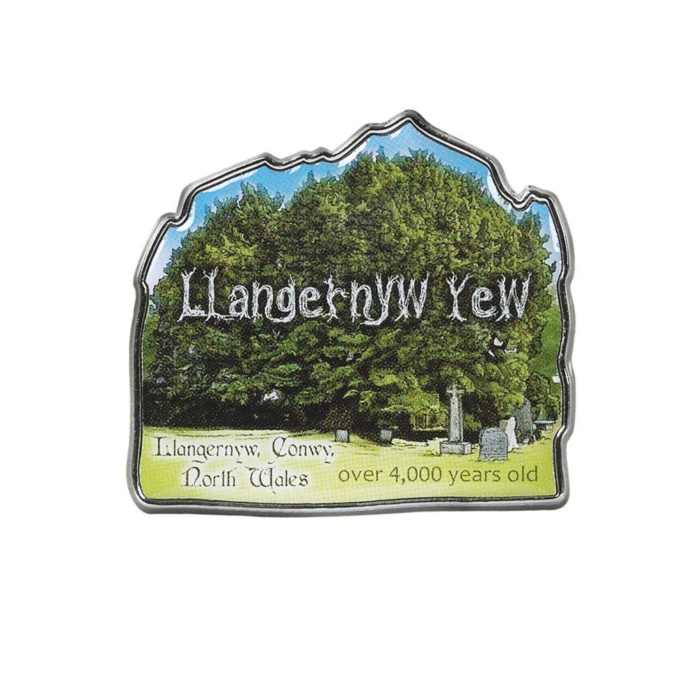 Collectible Novelty Pin for Backpack, Scarf - Made From Jeweler Class Metal - Spartan and the Green Egg Explorer Pin Series: Llangernyw Yew - Conwy, North Wales (288)