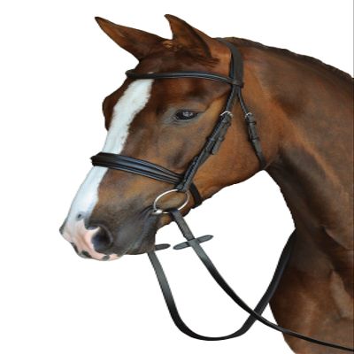 Collegiate Mono Crown Padded Raised Cavesson Bridle, Black, Warmblood