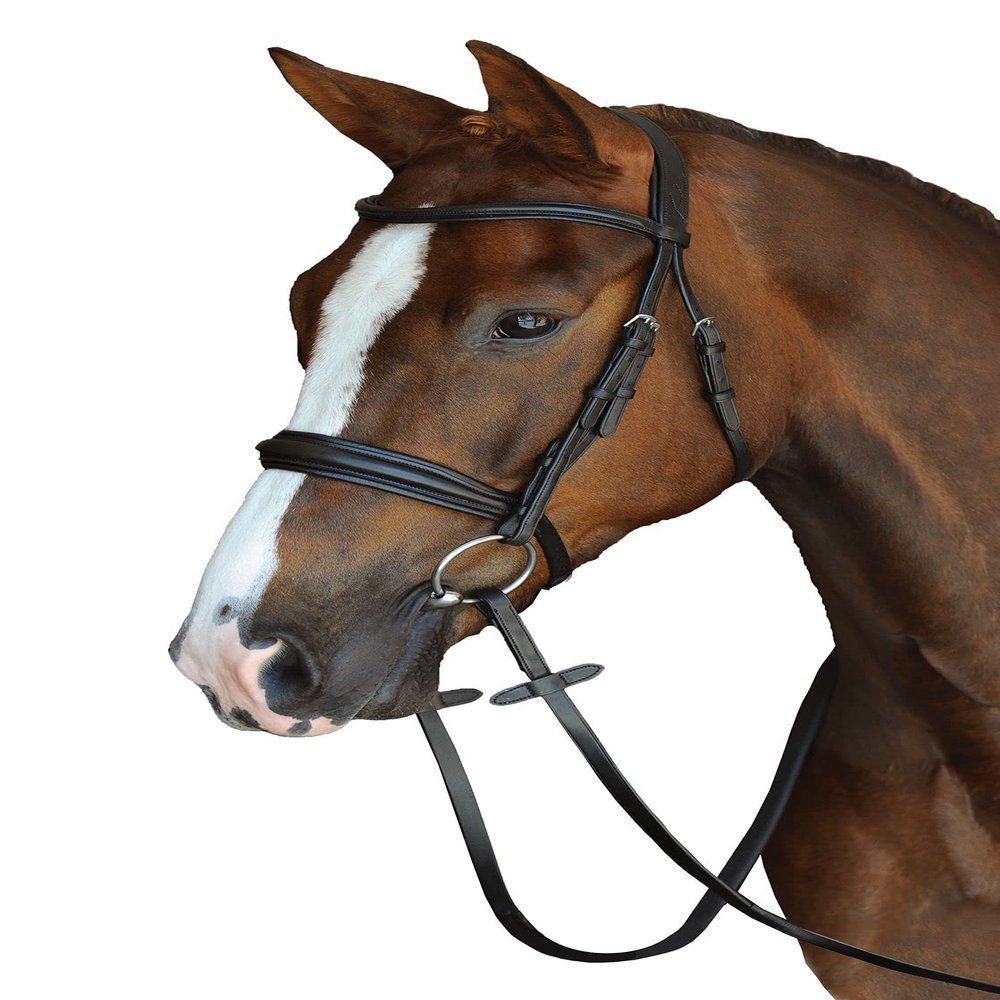 Collegiate Mono Crown Padded Raised Cavesson Bridle, Black, Warmblood
