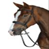 Collegiate Mono Crown Padded Raised Cavesson Bridle, Black, Warmblood view 1