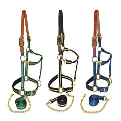 Horse Fare Products Nylon Halter, Break Away, Striped (Black/Gold, Oversize)