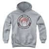 Where's Waldo Champion Unisex Youth Pull-Over Hoodie for Boys and Girls Athletic Heather