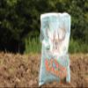 Whitetail Institute Vision Deer Food Plot Seed for Fall Planting, Perennial Blend of Clover, Chicory and Kale to Attract and Hold Deer, Heat, Cold and Drought Tolerant, 4 lbs (.5 Acres) view 3