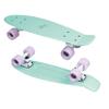 No Rules Fun Skateboard, Mint, One Size view 3