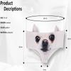 Ababalaya Womens Underwear Funny Panties For women, Gift Ideas For Her, Valentines Gifts, Chihuahua, L view 3