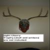 Spud's Wood Working Deer European Skull Mount Wall Pedestal (Light Cherry) view 4